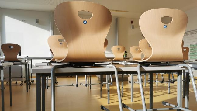 Schwänzen macht Schule