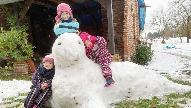 Die coole Schneerobbe und andere Frostfreuden