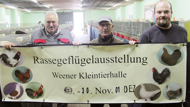 Das beste Geflügel wird in Weener präsentiert