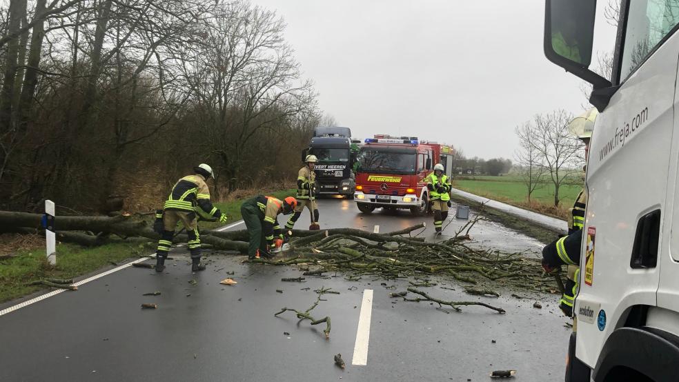 Die B436 war vorübergehend gesperrt, während der Baum beseitigt wurde. © Busemann