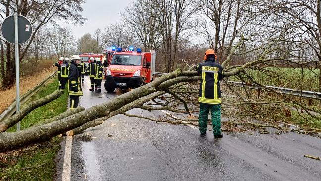 Sturm hält Wehren auf Trab