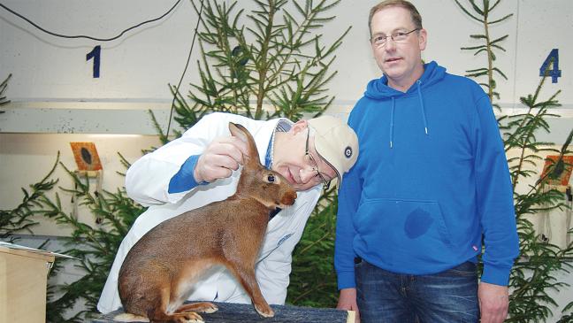 Rheiderländer stellen 122 Kaninchen in Leer aus