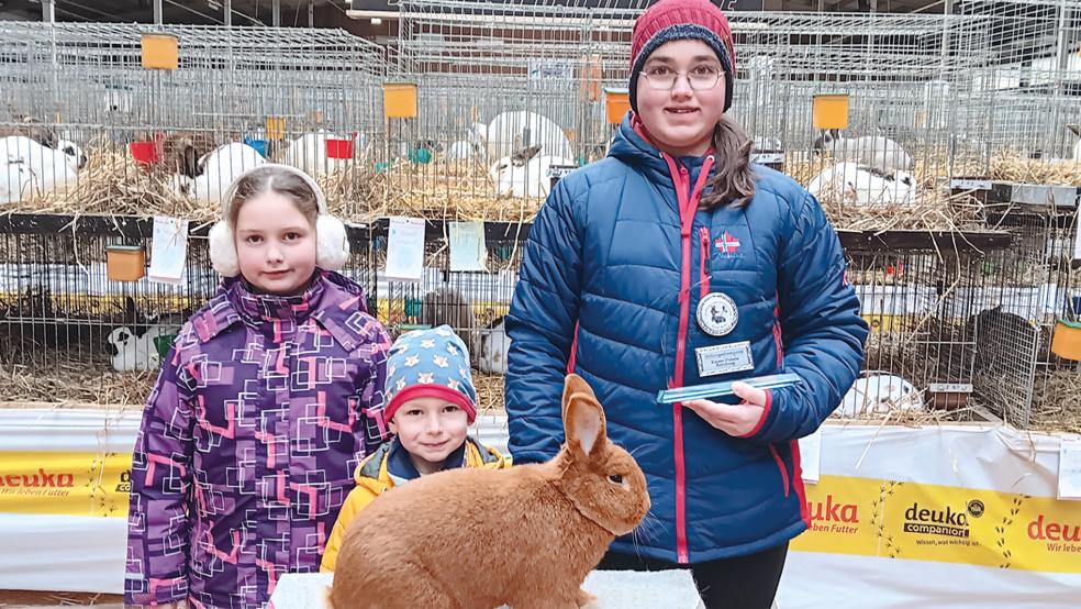Ida, Erik und Sonja Zippert aus Midlum zeigten als Zuchtgemeinschaft auch diesen »vorzüglichen« Roten Neuseeländer. Sie wurden Landesjugendmeister mit 386,0 Punkten.  © Foto: privat
