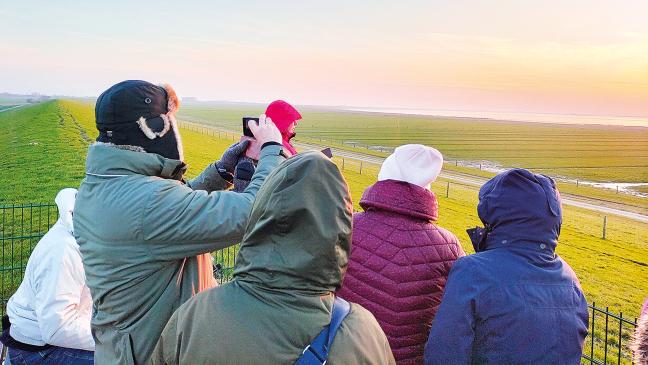 Zu Gast bei den Wildgänsen im Rheiderland