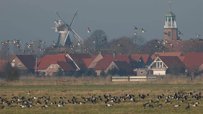 Landwirte brauchen Rechtssicherheit