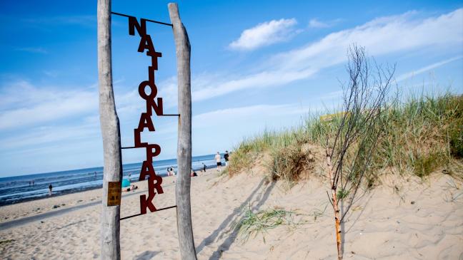 Organisationen lehnen Kabeltrassen durchs Wattenmeer ab