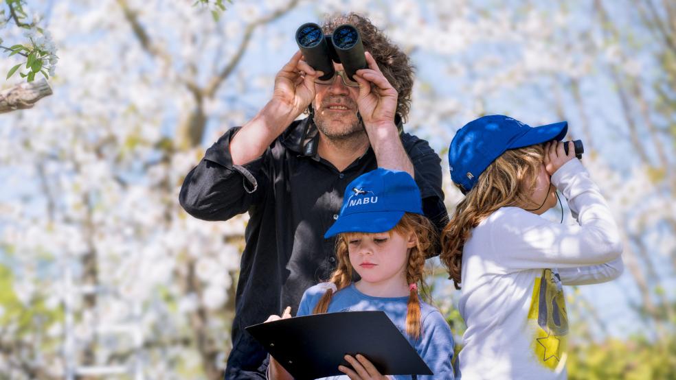 Zur "Stunde der Gartenvögel" ruft der NABU Ostfriesland wieder auf. © NABU