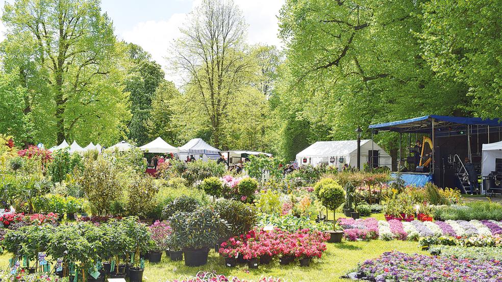 Beim Frühlingsmarkt werden Dinge rund um den Garten angeboten.  © Foto: Landkreis Leer