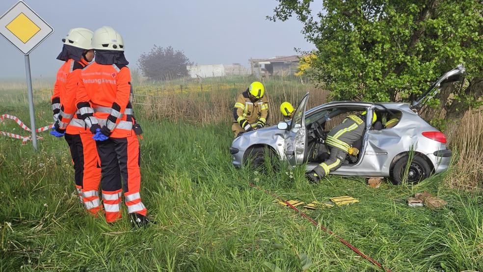 Bei dem simulierten Unfall-Szenario war ein Pkw gegen einen Baum geschleudert worden, während der andere sich überschlagen hatte. © Stahlhut (Feuerwehr Jemgum)