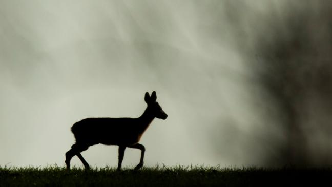 Pkw mit Bootsanhänger überschlägt sich