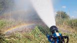 Flächenbrand weitet sich auf zwei Hektar aus