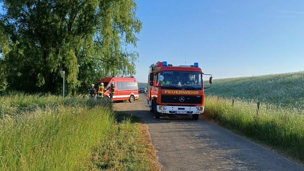 Die Feuerwehren aus Diele, Stapelmoor und Vellage waren heute erneut in Stapelmoor im Einsatz. Erst gestern hatte es im Bereich des Erlensees einen Flächenbrand gegeben, bei dem dieses Foto entstand. © Feuerwehr/Rand