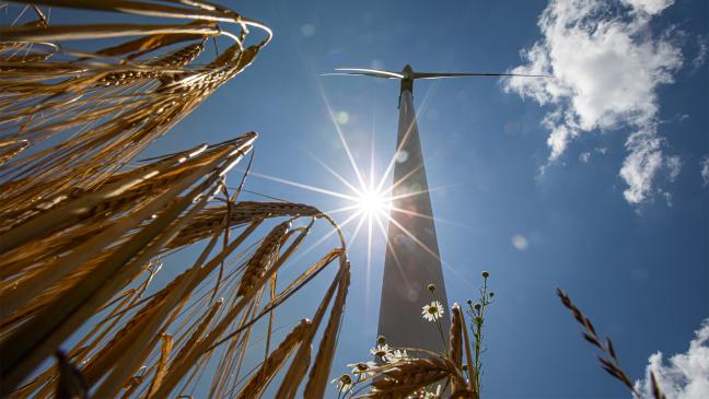 Fünf Windräder an vier Standorten