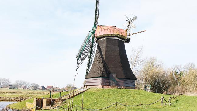 Mühlen im Rheiderland laden ein