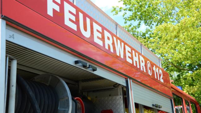 Hecke brennt auf 30 Metern Länge