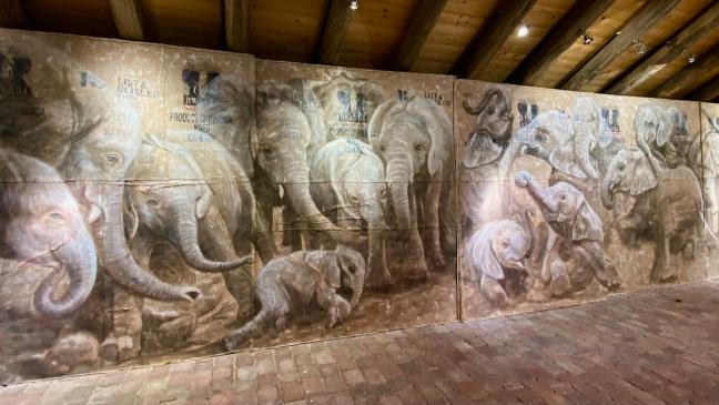 Monumentale Tiere, Matjestage und Wolken in der Kunst