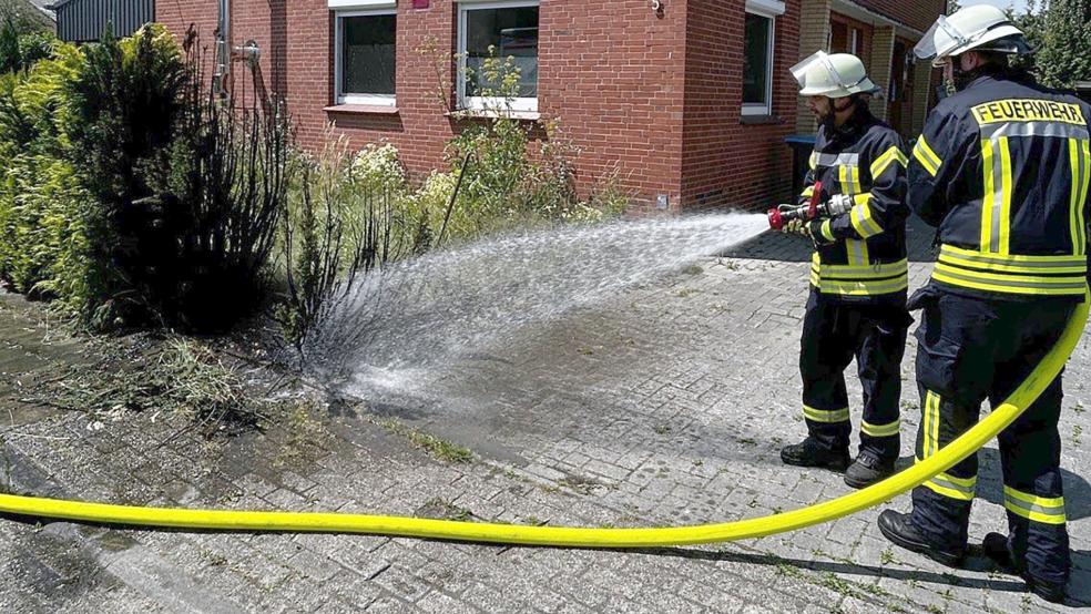In der Euckenstraße in Weener stand heute Mittag eine Hecke in Brand. © Rand (Feuerwehr)