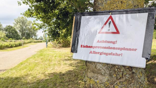 Giftige Raupe trübt Badefreuden nicht