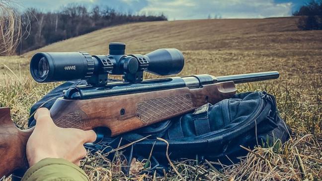Unbekannte Person soll mit Luftgewehr auf Vögel schießen