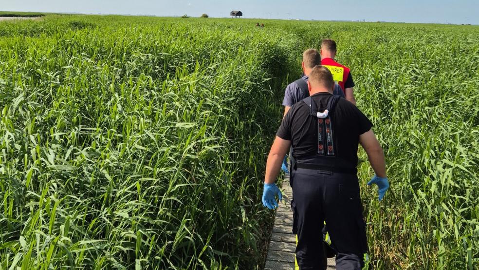 Die Bunder Feuerwehrleute auf dem Weg zum Patienten. © Iwanoff (Feuerwehr Bunde)