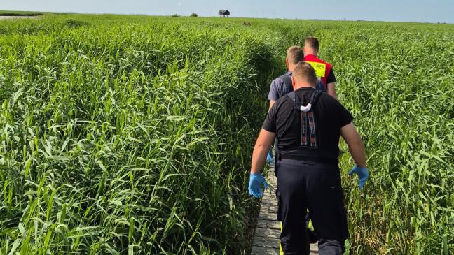 Sturz auf Weg zum Kiekkaaste: Feuerwehr Bunde hilft 