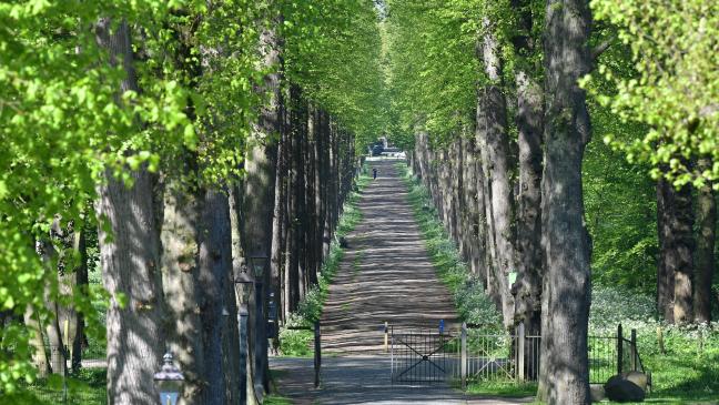Große Allee zur Evenburg wieder nutzbar