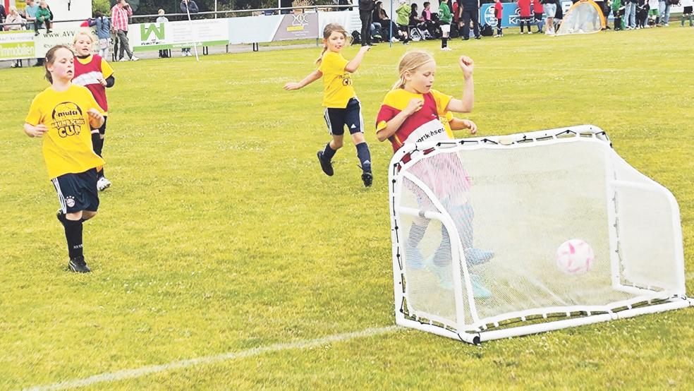 Die Mädchen-Mannschaft der Grundschule Weener holte sich den Turnier-Sieg vor dem Team der Grundschule Jemgum.  © Foto: privat