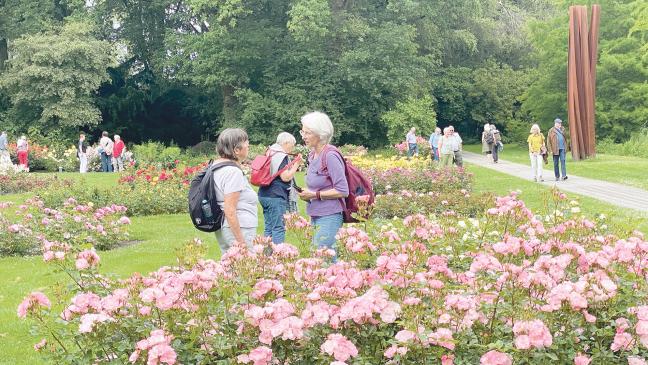 Groenmarkt mit Rosenkönigin