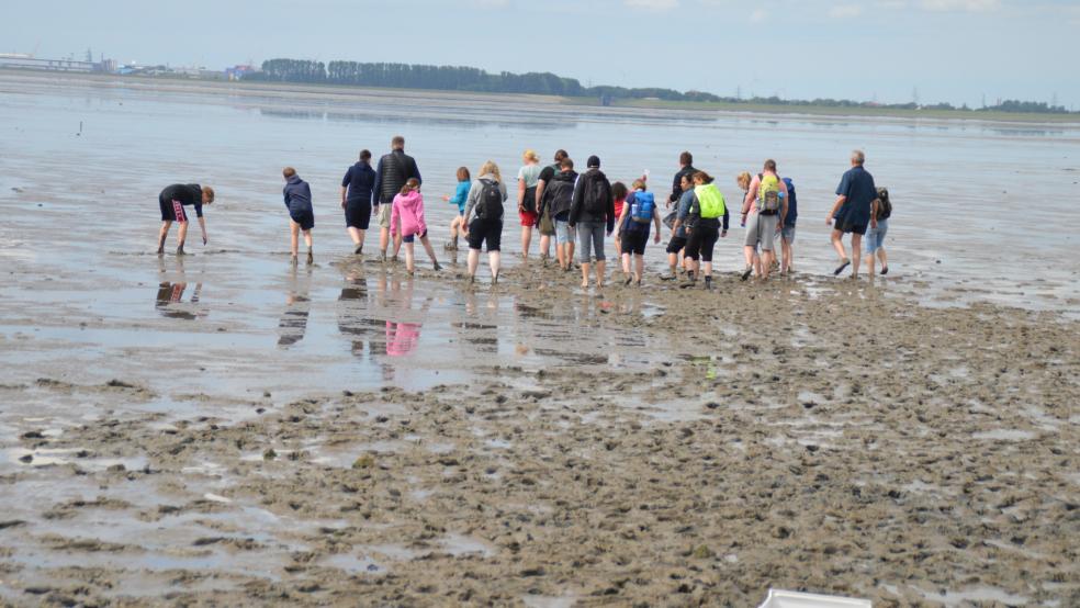 Im Rheiderland wird eine Wattwanderung angeboten. © Nabu Rheiderland