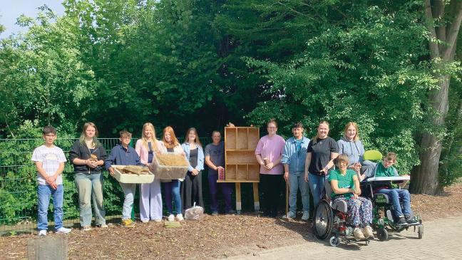 Gemeinsame Arbeit an Insektenhotels