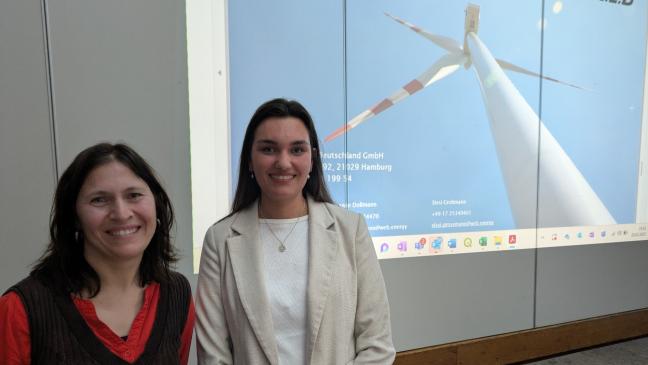 Rat schafft Basis für Windkraft-Projekte