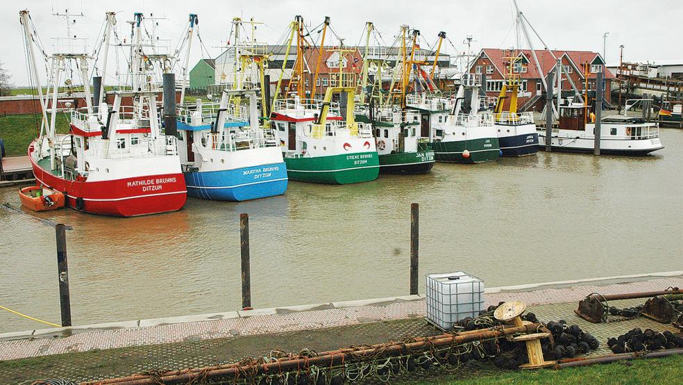 Ein Bild aus vergangenen Tagen: Der am roten Stahlrumpf erkennbare Kutter »Mathilde Bruhns« liegt nun nicht mehr im Ditzumer Hafen, sondern bricht von Greetsiel aus unter dem Namen »Geen Tied« zum Krabbenfang in der Nordsee auf.  © Archivfoto: Szyska