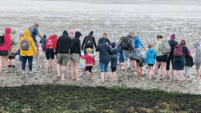 Kinder entdecken spielerisch das Watt 