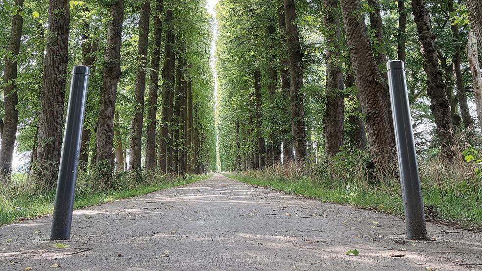 Die Große Allee von der Papenburger Straße bis zum Schloss Evenburg hat eine Länge von etwa einem Kilometer. Sie erschien erstmals 1787 auf einer Karte. Wie lange vorher sie schon angelegt worden war, ist nicht bekannt.  © Foto: Landkreis Leer