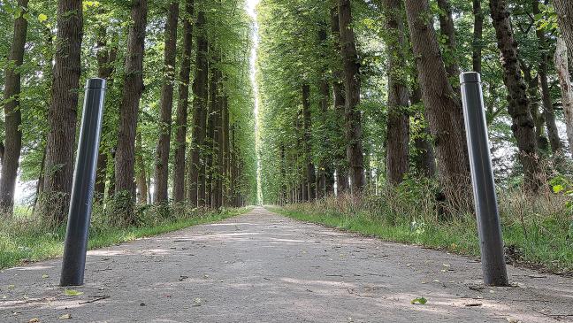 Klima-Geld für den Schlosspark