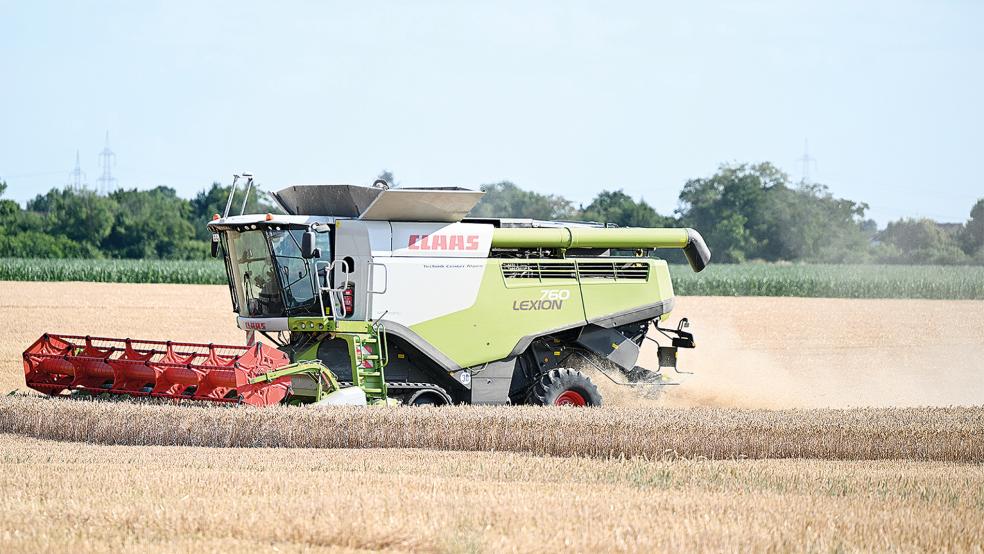 Die Ernte von Gerste ist auch auf den Polderflächen im Rheiderland mittlerweile beendet. Ende Juli werden die Mähdrescher wieder im Einsatz sein, um den Winterweizen einzufahren.  © Symbolfoto: dpa