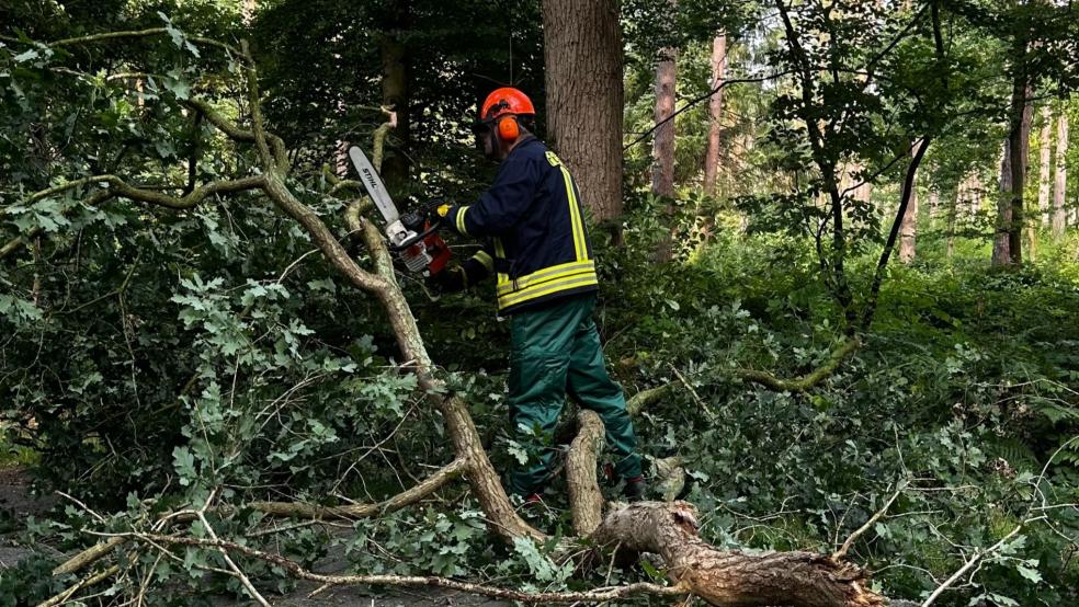 Mit einer Kettensäge wurde der abgebrochene Ast zerkleinert. © Feuerwehr