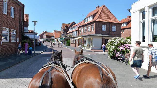 Juist bleibt eine Pferdeinsel