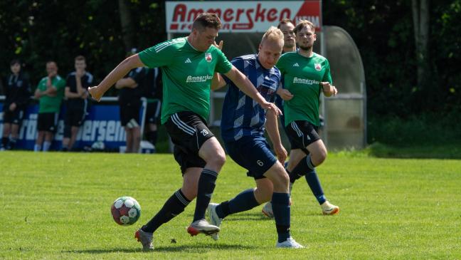 Bingums Kampf wird nicht belohnt