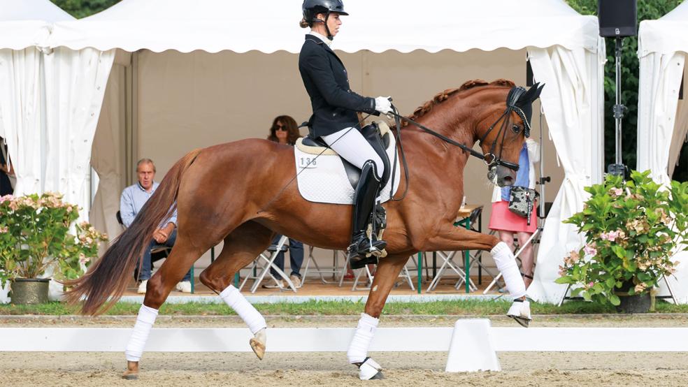Leslie Rohrbacher im Sattel von »Bijou de Soleil« beim Championat in Verden. »Sehr bewegungstark« sei die Stute, hebt ihre Besitzerin, die in Iserlohn einen Ausbildungsstall betreibt, im Gespräch mit der RZ hervor.  © Foto: LL-Foto