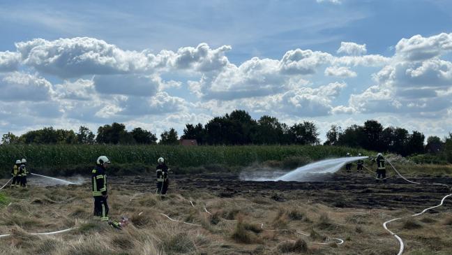 Heu auf 200 Quadratmetern Fläche steht in Flammen
