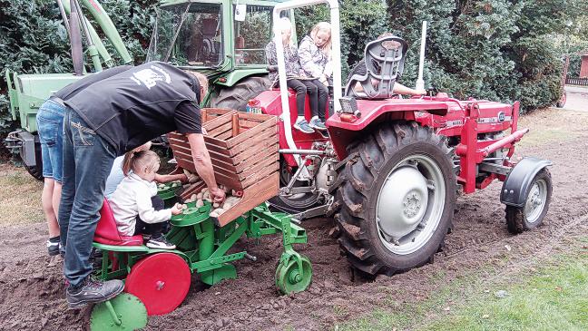 Kartoffeln pflanzen und saftige Töne