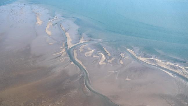 Kinderstube für Haie im Wattenmeer