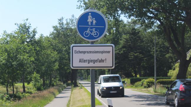 Spinner-Meldungen werden mehr