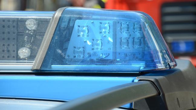 Autofahrer weicht Schwan oder Gans aus und landet im Sieltief