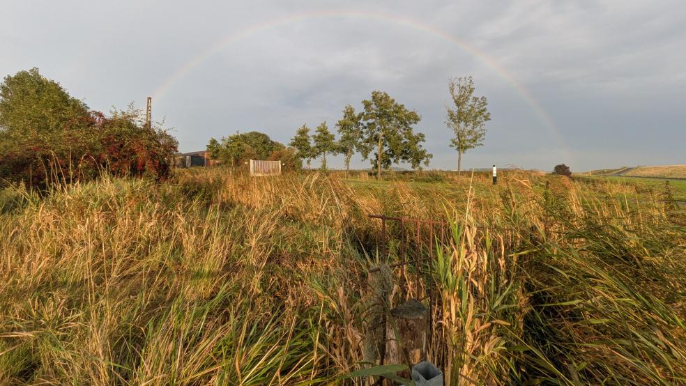 Der Regenbogen hinter dem Ziegeleigelände in Midlum wirkt wie ein Symbol einer zukunftsträchtigen Entwicklung. © Foto: Szyska