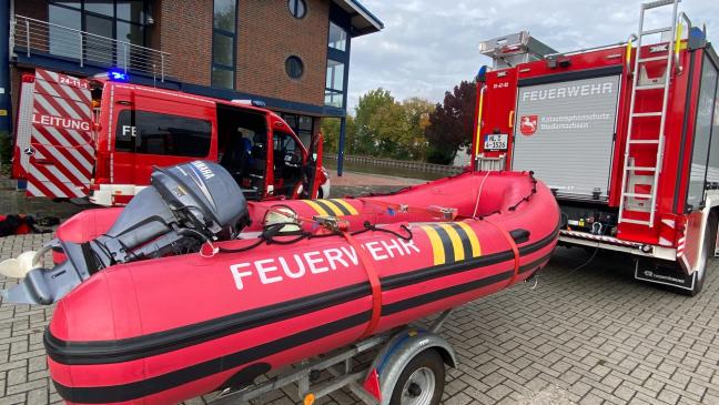 Hund treibt Schafe in die Ems