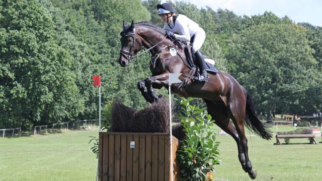 Rheiderländerin reitet mit einem der besten Pferde bei WM in Frankreich mit