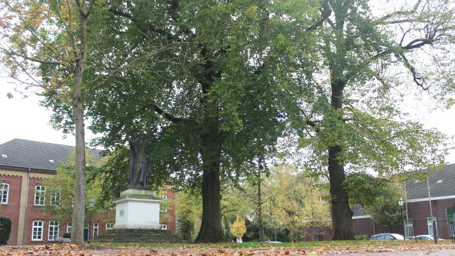 Schützenswerte Schönheit im Rheiderland