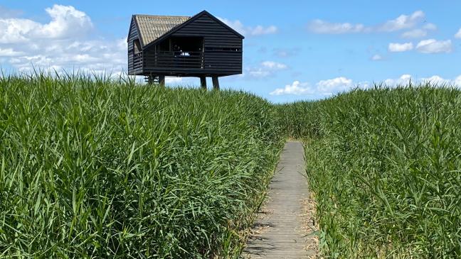 Mutter und Kinder in “Kiekkaaste” gefangen